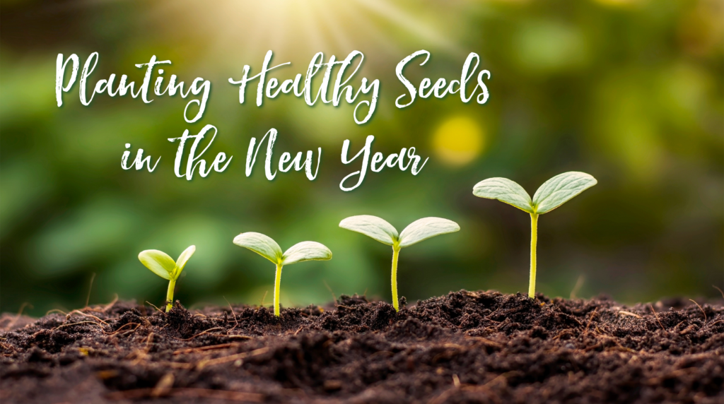 Planting Healthy Seeds in the New Year