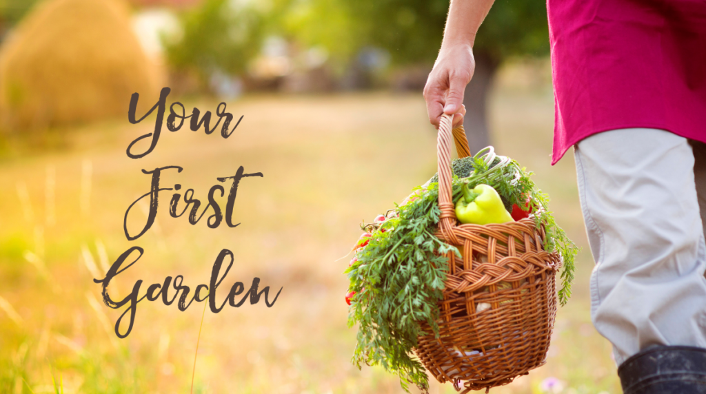 Your First Spring Garden – Tips for Beginners!