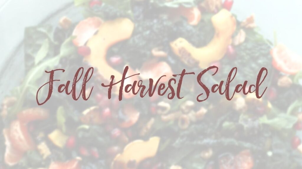 Recipe: Fall Harvest Salad